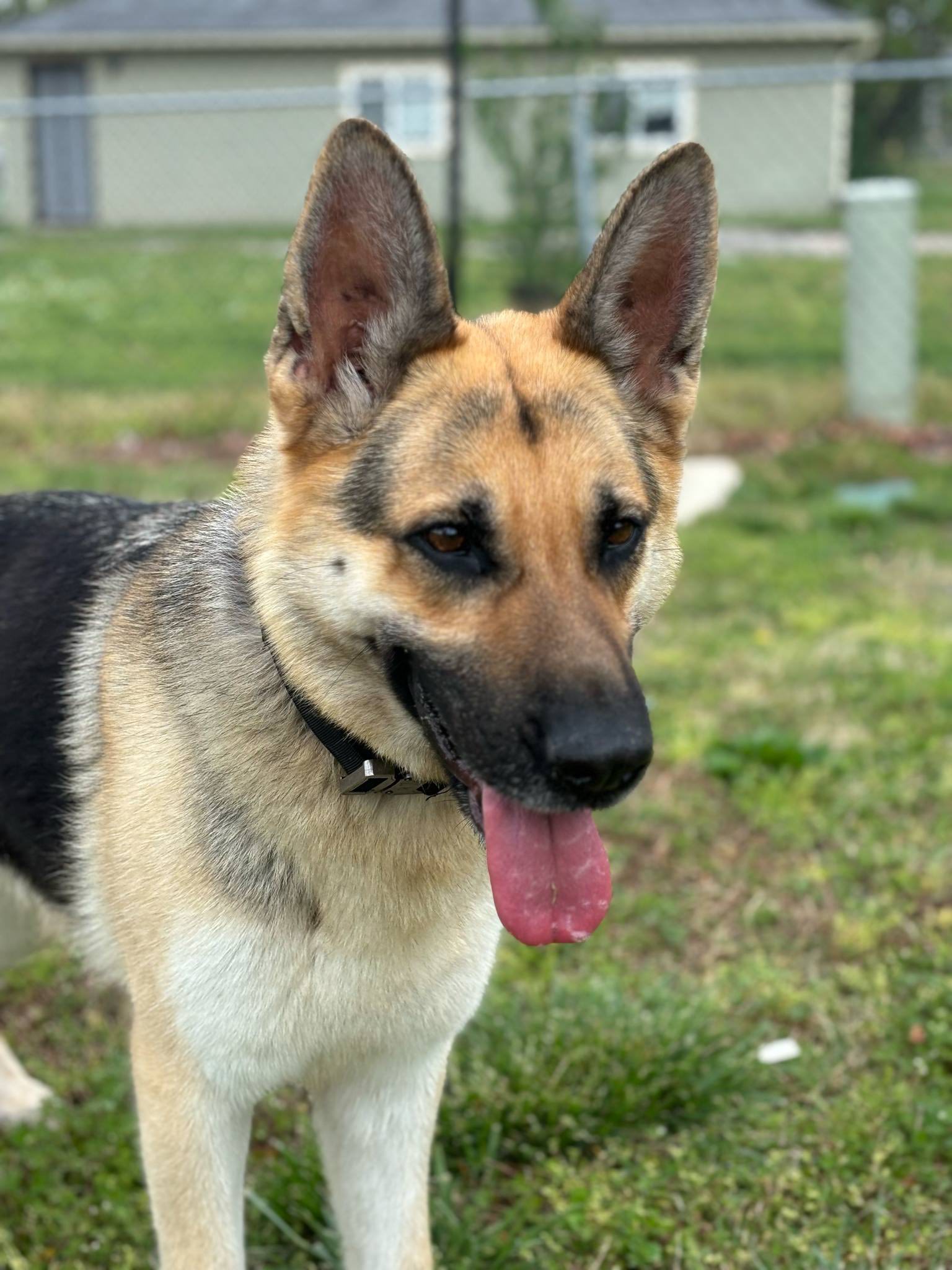 Coco
